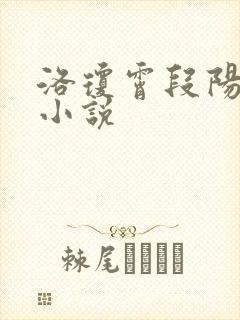 洛琼霄段阳澍的小说