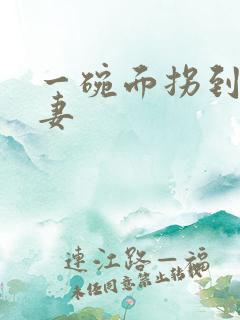 一碗面拐到美艳妻