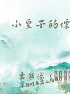 小皇子的坏王妃