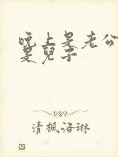 晚上是老公白天是儿子