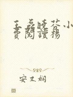 王磊晓芬小说免费阅读杨