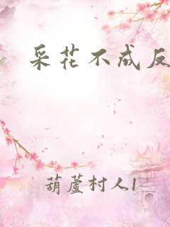 采花不成反被采