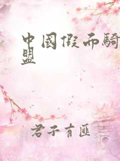 中国假面骑士联盟