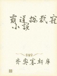 霸道总裁宠上天 小说