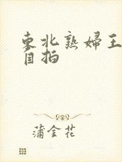 东北熟妇王梅娟自拍