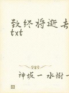 致终将逝去青春txt