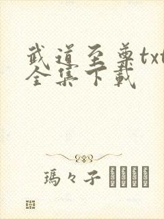 武道至尊txt全集下载