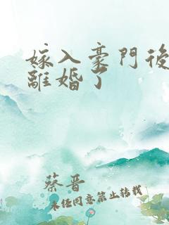 嫁入豪门后我又离婚了