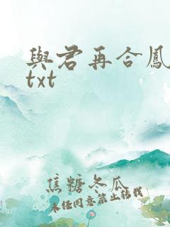 与君再合凤求凰txt