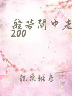 般若关中老人5200