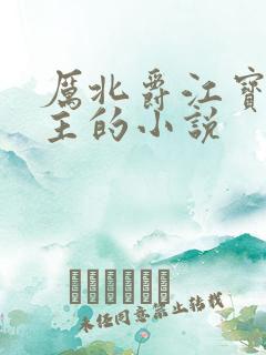 厉北爵江宝宝男主的小说