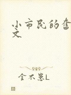 小市民的奋斗燃文