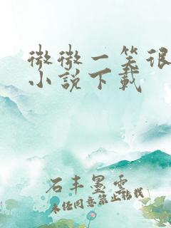 微微一笑很倾城小说下载