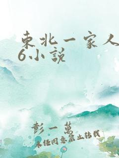 东北一家人1一6小说