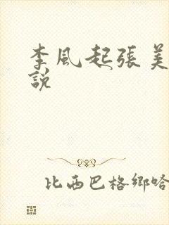李风起张美丽小说