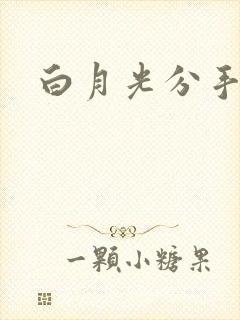 白月光分手日常