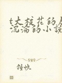 t大校花的屈辱沉沦的小说