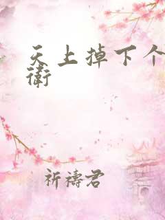 天上掉下个影卫卫