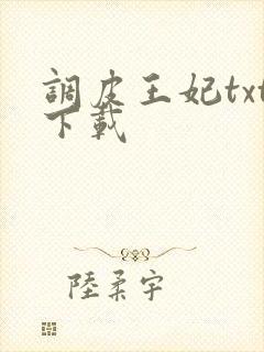 调皮王妃txt下载
