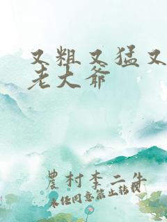 又粗又猛又大爽老大爷