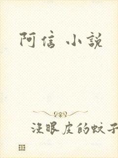 阿信 小说