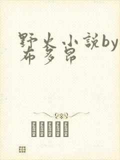 野火小说by夏布多昂