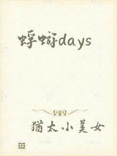 蜉蝣days