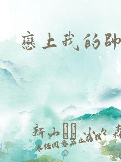 恋上我的帅和尚