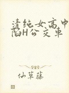 清纯女高中生沦陷H公交车