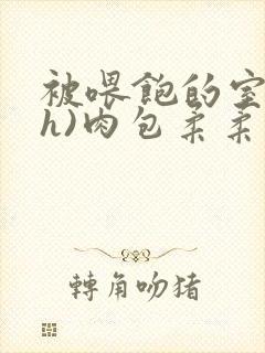 被喂饱的室友(h)肉包柔柔