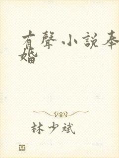 有声小说奉子成婚