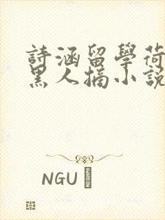 诗涵留学荷兰被黑人摘小说