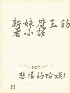 新妹魔王的契约者小说