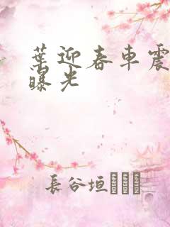 叶迎春车震照片曝光