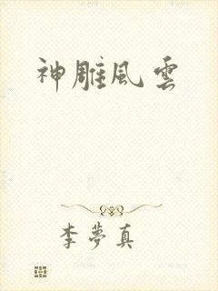 神雕风云