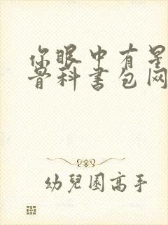 你眼中有星辰h骨科书包网