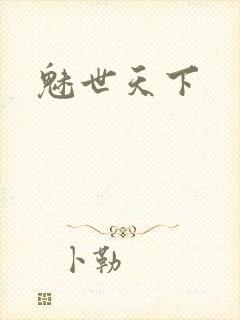 魅世天下