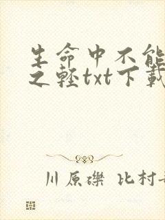 生命中不能承受之轻txt下载