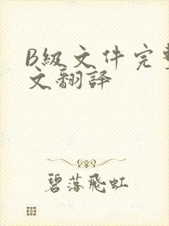 B级文件完整中文翻译