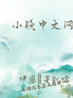 小贱中文网