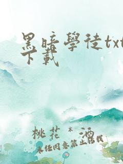 黑暗学徒txt下载
