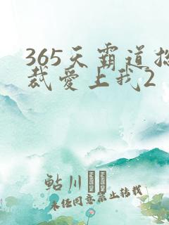 365天霸道总裁爱上我2