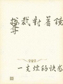 总裁对着镜子掠夺