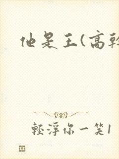 他是王(高干)