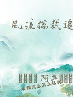 风流总裁追妻记