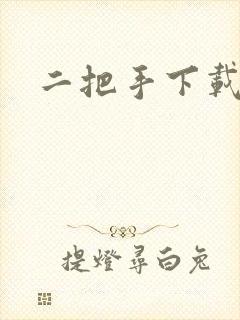 二把手下载