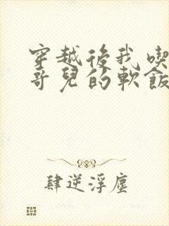 穿越后我吃到了哥儿的软饭炉山灰