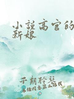 小说高官的暗夜新娘