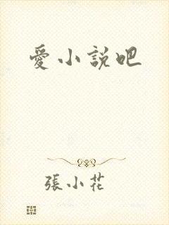 爱小说吧