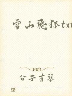 雪山飞狐txt